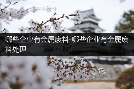 哪些企业有金属废料-哪些企业有金属废料处理