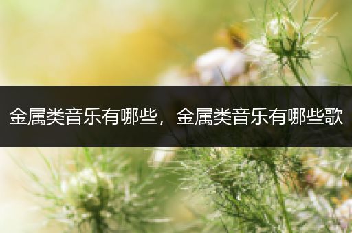 金属类音乐有哪些，金属类音乐有哪些歌