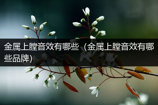 金属上膛音效有哪些（金属上膛音效有哪些品牌）