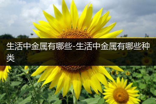 生活中金属有哪些-生活中金属有哪些种类