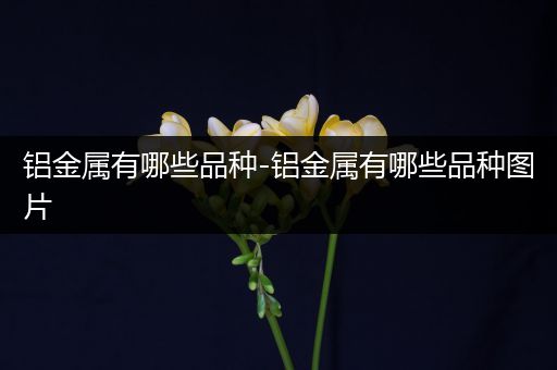 铝金属有哪些品种-铝金属有哪些品种图片
