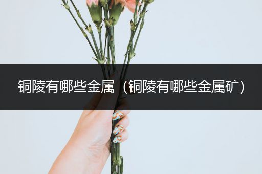 铜陵有哪些金属（铜陵有哪些金属矿）