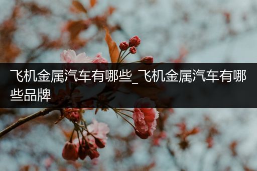 飞机金属汽车有哪些_飞机金属汽车有哪些品牌