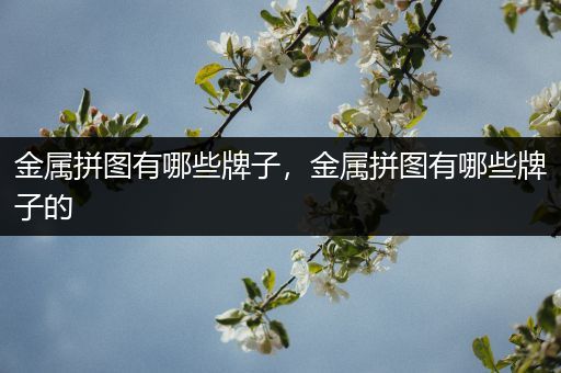 金属拼图有哪些牌子，金属拼图有哪些牌子的