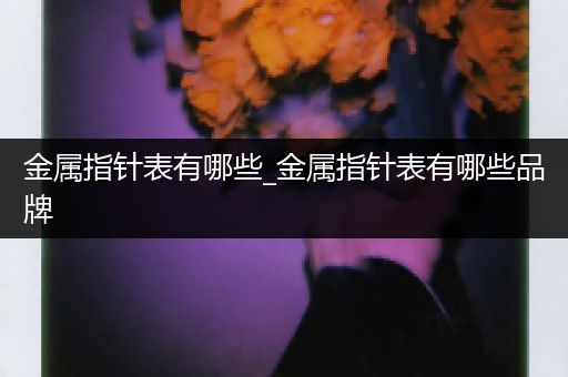 金属指针表有哪些_金属指针表有哪些品牌