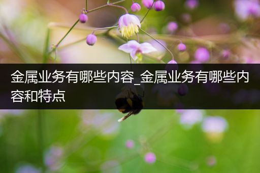 金属业务有哪些内容_金属业务有哪些内容和特点