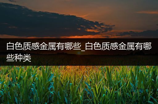 白色质感金属有哪些_白色质感金属有哪些种类