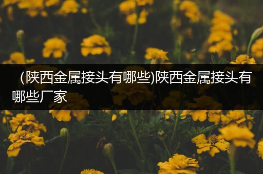 （陕西金属接头有哪些)陕西金属接头有哪些厂家