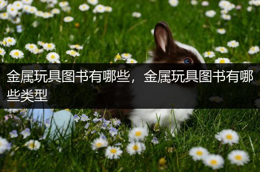 金属玩具图书有哪些，金属玩具图书有哪些类型