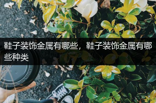鞋子装饰金属有哪些，鞋子装饰金属有哪些种类