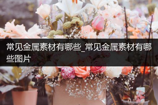 常见金属素材有哪些_常见金属素材有哪些图片