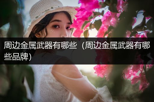 周边金属武器有哪些（周边金属武器有哪些品牌）