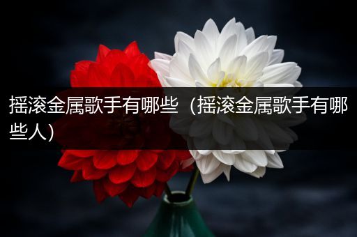 摇滚金属歌手有哪些（摇滚金属歌手有哪些人）