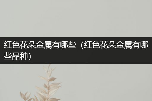 红色花朵金属有哪些（红色花朵金属有哪些品种）