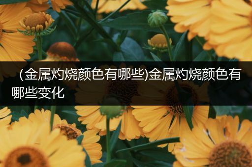 （金属灼烧颜色有哪些)金属灼烧颜色有哪些变化