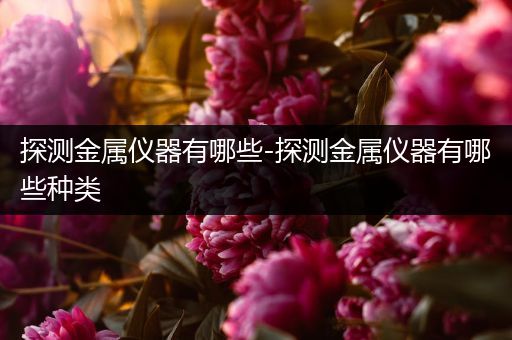 探测金属仪器有哪些-探测金属仪器有哪些种类