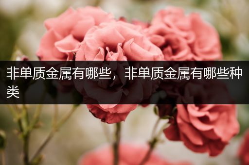 非单质金属有哪些，非单质金属有哪些种类