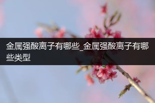 金属强酸离子有哪些_金属强酸离子有哪些类型