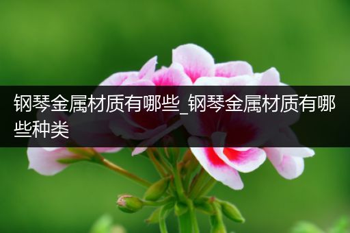 钢琴金属材质有哪些_钢琴金属材质有哪些种类