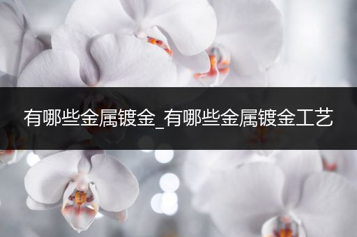 有哪些金属镀金_有哪些金属镀金工艺