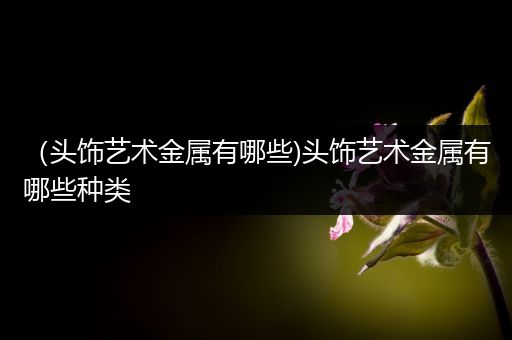 （头饰艺术金属有哪些)头饰艺术金属有哪些种类