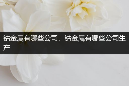 钴金属有哪些公司，钴金属有哪些公司生产