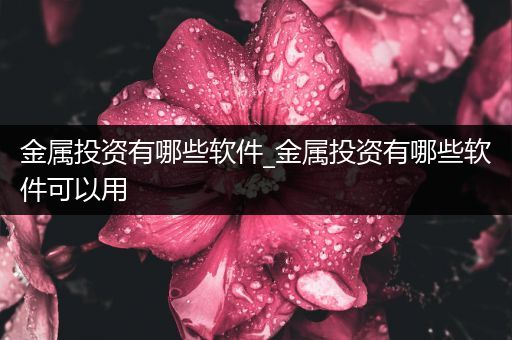 金属投资有哪些软件_金属投资有哪些软件可以用