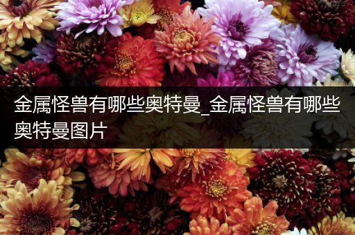 金属怪兽有哪些奥特曼_金属怪兽有哪些奥特曼图片