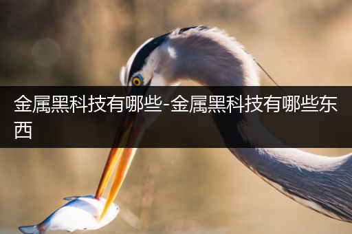 金属黑科技有哪些-金属黑科技有哪些东西