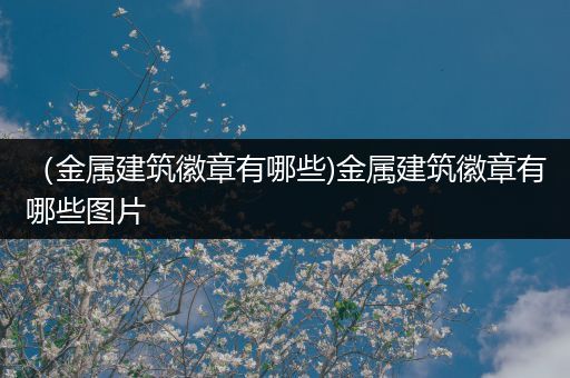 （金属建筑徽章有哪些)金属建筑徽章有哪些图片