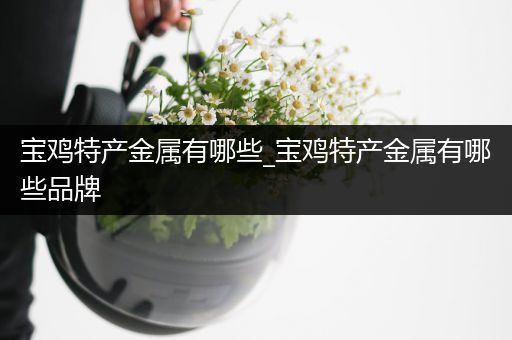 宝鸡特产金属有哪些_宝鸡特产金属有哪些品牌