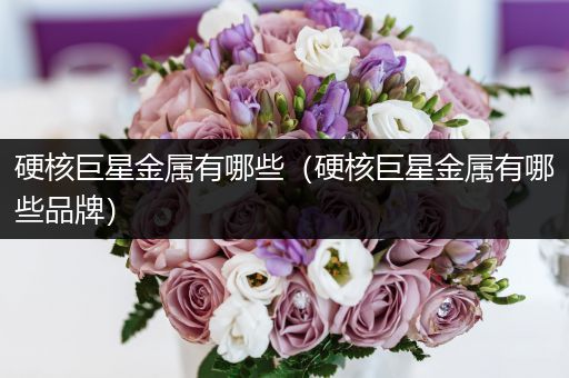 硬核巨星金属有哪些（硬核巨星金属有哪些品牌）