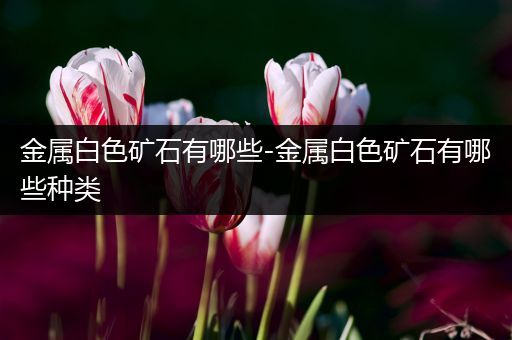 金属白色矿石有哪些-金属白色矿石有哪些种类