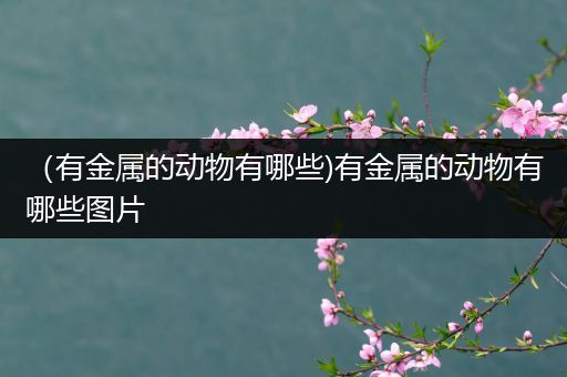 （有金属的动物有哪些)有金属的动物有哪些图片