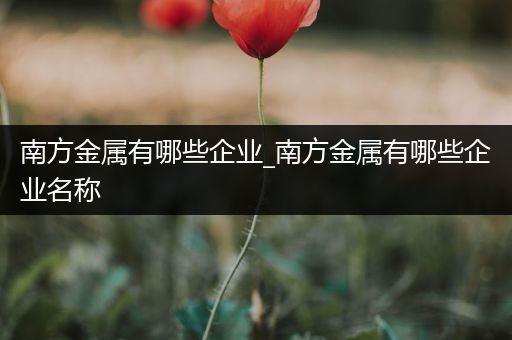 南方金属有哪些企业_南方金属有哪些企业名称