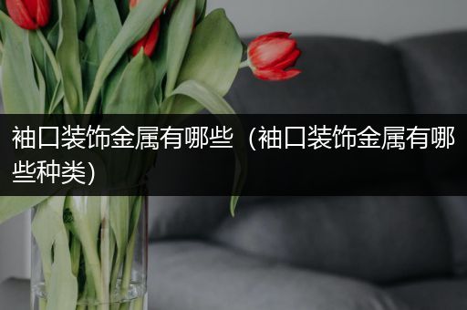 袖口装饰金属有哪些（袖口装饰金属有哪些种类）