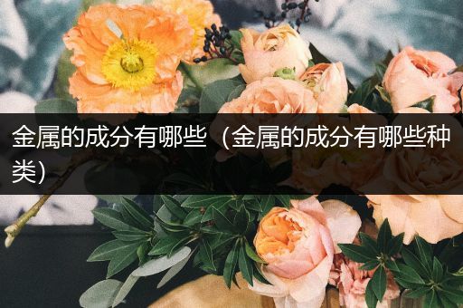 金属的成分有哪些（金属的成分有哪些种类）