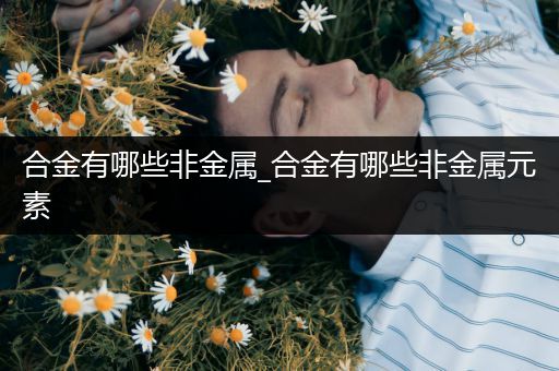 合金有哪些非金属_合金有哪些非金属元素