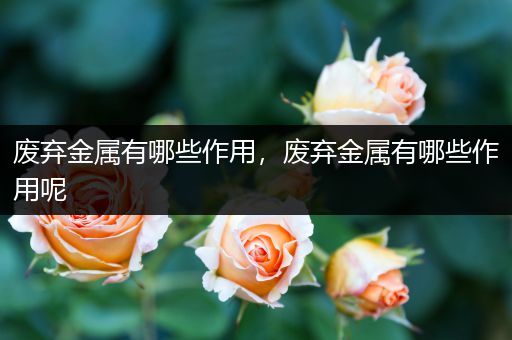 废弃金属有哪些作用，废弃金属有哪些作用呢