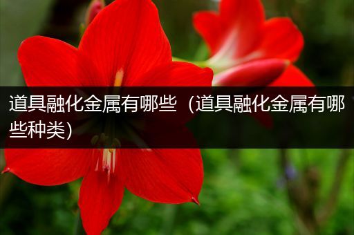 道具融化金属有哪些（道具融化金属有哪些种类）