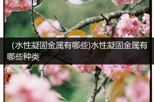 （水性凝固金属有哪些)水性凝固金属有哪些种类