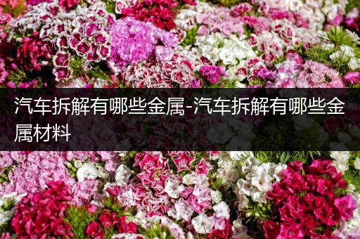 汽车拆解有哪些金属-汽车拆解有哪些金属材料