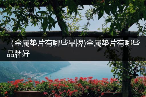 （金属垫片有哪些品牌)金属垫片有哪些品牌好