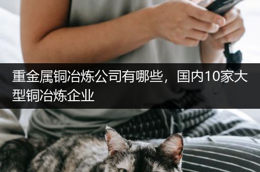 重金属铜冶炼公司有哪些，国内10家大型铜冶炼企业