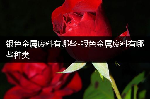 银色金属废料有哪些-银色金属废料有哪些种类