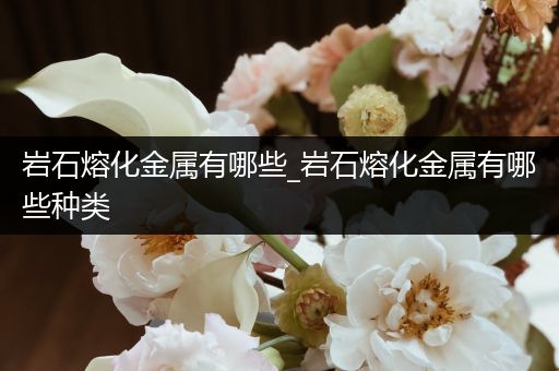 岩石熔化金属有哪些_岩石熔化金属有哪些种类