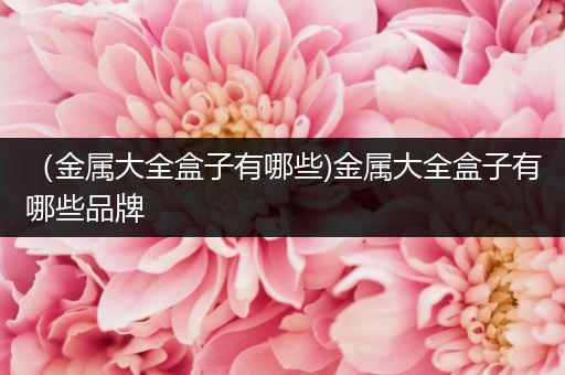 （金属大全盒子有哪些)金属大全盒子有哪些品牌