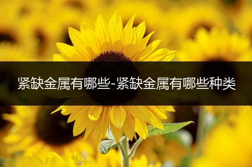 紧缺金属有哪些-紧缺金属有哪些种类