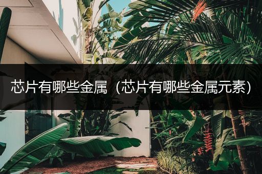 芯片有哪些金属（芯片有哪些金属元素）