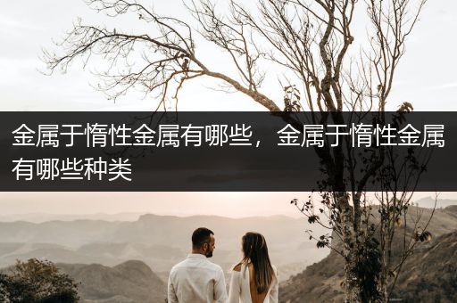 金属于惰性金属有哪些，金属于惰性金属有哪些种类